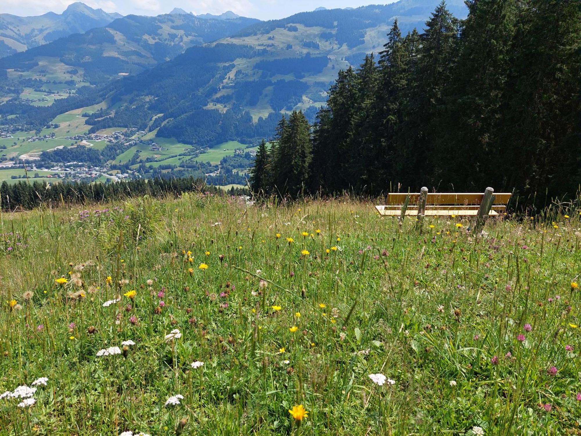 Apartamento Angererhof Jochberg Exterior foto